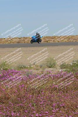 media/Mar-12-2023-SoCal Trackdays (Sun) [[d4c8249724]]/Turn 15 Inside Bloom (130pm)/